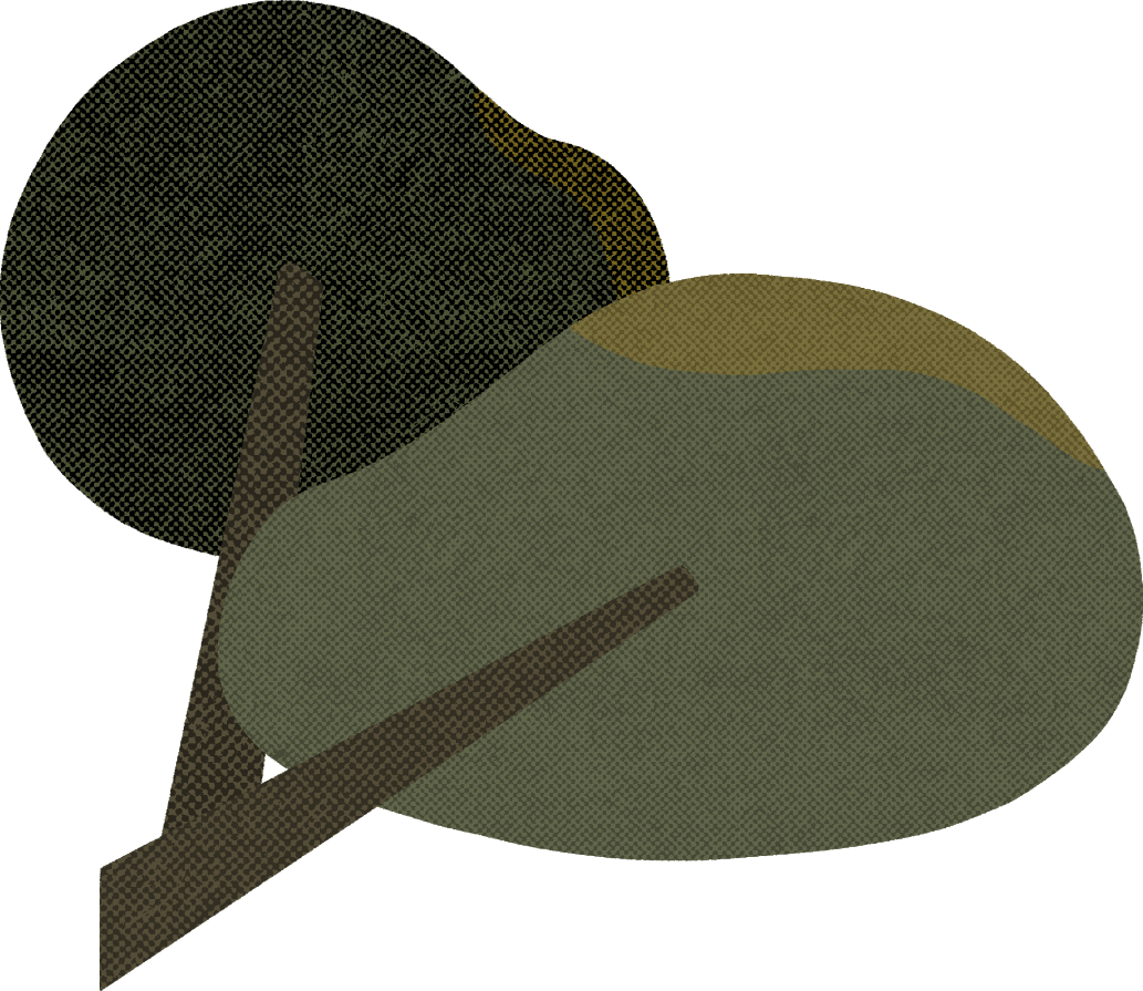 intro deco tree 2