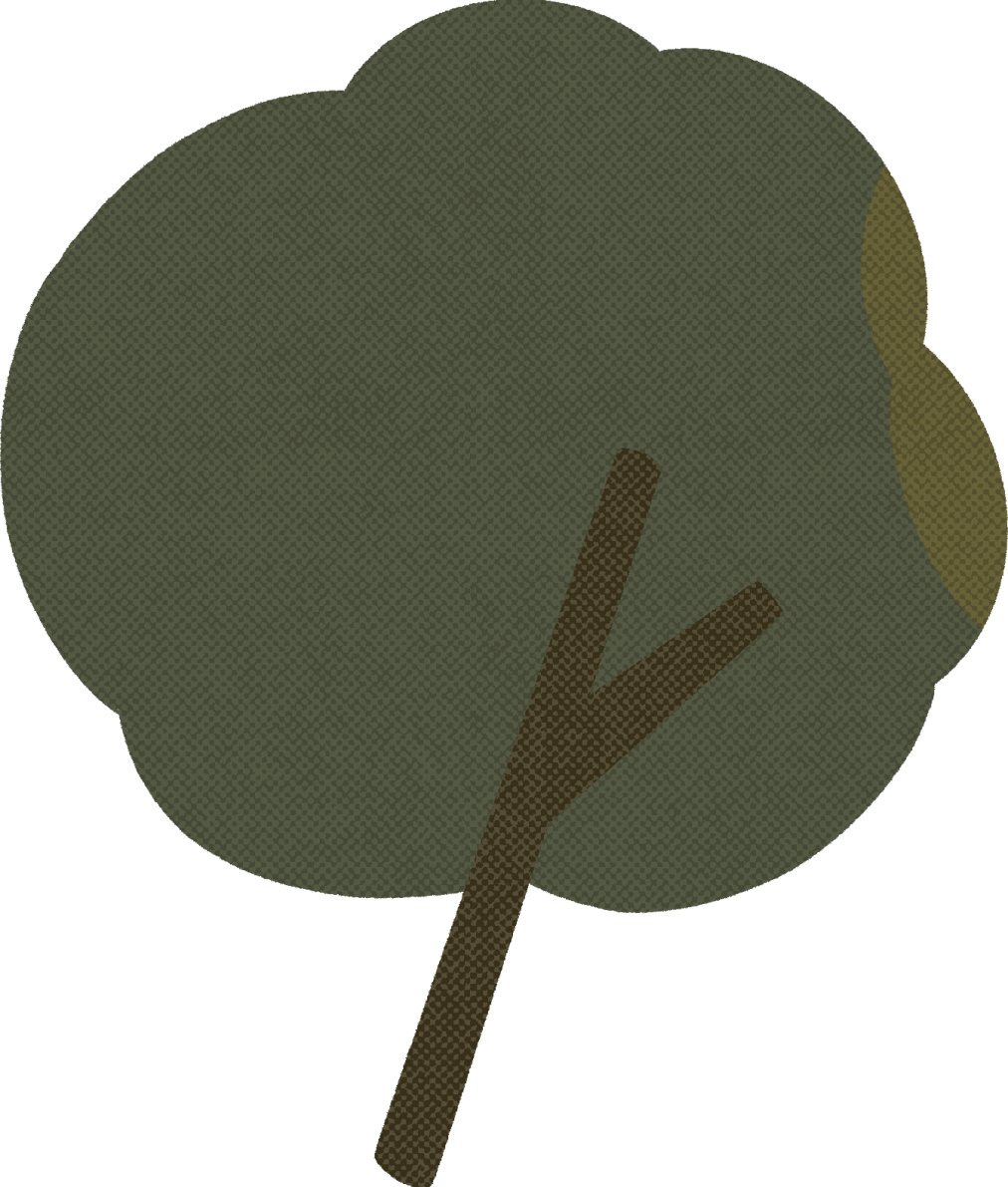 intro deco tree 3